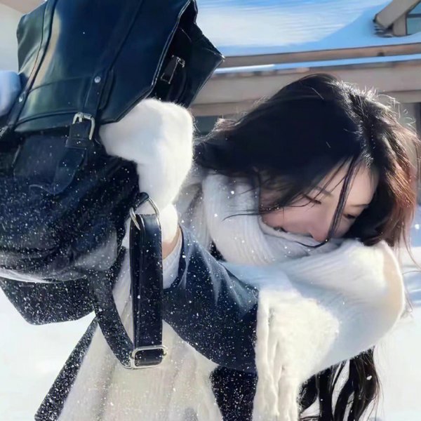 警之光第一季 海报